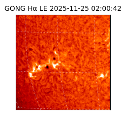 gong - 2025-11-25T02:00:42