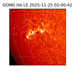 gong - 2025-11-25T02:00:42