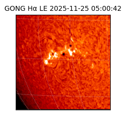 gong - 2025-11-25T05:00:42