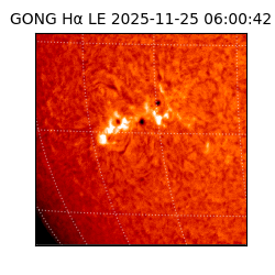 gong - 2025-11-25T06:00:42