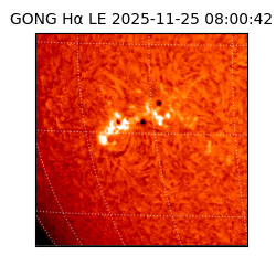 gong - 2025-11-25T08:00:42