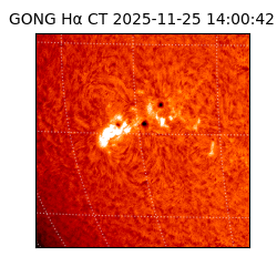 gong - 2025-11-25T14:00:42
