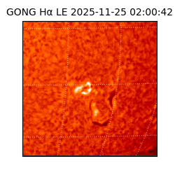 gong - 2025-11-25T02:00:42