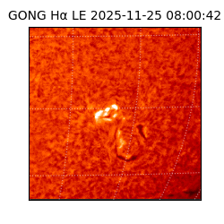 gong - 2025-11-25T08:00:42