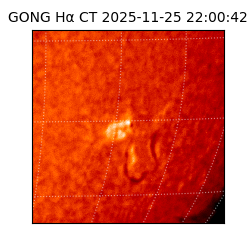 gong - 2025-11-25T22:00:42