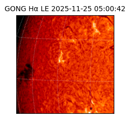 gong - 2025-11-25T05:00:42