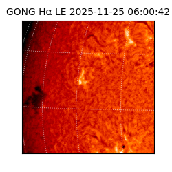 gong - 2025-11-25T06:00:42
