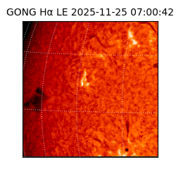 gong - 2025-11-25T07:00:42