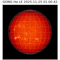 gong - 2025-11-25T01:00:42