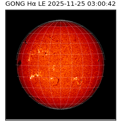 gong - 2025-11-25T03:00:42