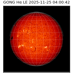 gong - 2025-11-25T04:00:42