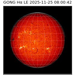 gong - 2025-11-25T08:00:42