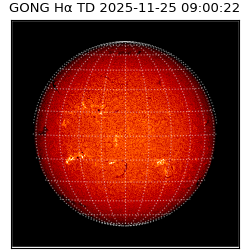 gong - 2025-11-25T09:00:22
