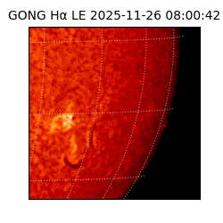 gong - 2025-11-26T08:00:42