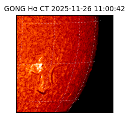 gong - 2025-11-26T11:00:42