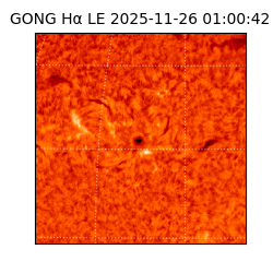 gong - 2025-11-26T01:00:42