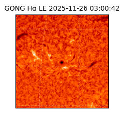 gong - 2025-11-26T03:00:42