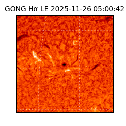 gong - 2025-11-26T05:00:42