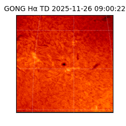 gong - 2025-11-26T09:00:22