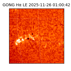 gong - 2025-11-26T01:00:42