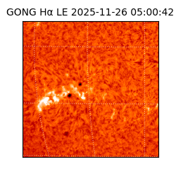 gong - 2025-11-26T05:00:42