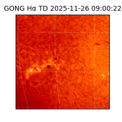 gong - 2025-11-26T09:00:22