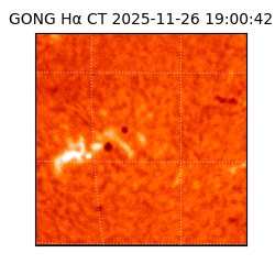 gong - 2025-11-26T19:00:42