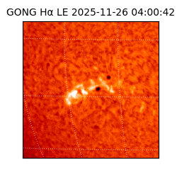 gong - 2025-11-26T04:00:42