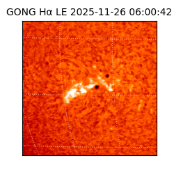 gong - 2025-11-26T06:00:42