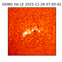 gong - 2025-11-26T07:00:42