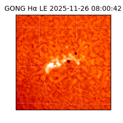 gong - 2025-11-26T08:00:42