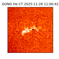 gong - 2025-11-26T11:00:42