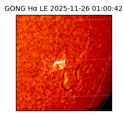 gong - 2025-11-26T01:00:42