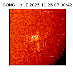 gong - 2025-11-26T07:00:42