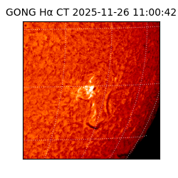gong - 2025-11-26T11:00:42