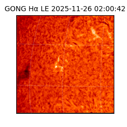 gong - 2025-11-26T02:00:42