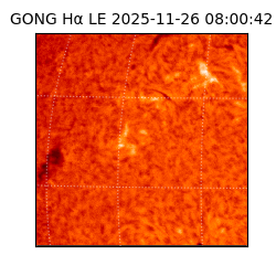 gong - 2025-11-26T08:00:42