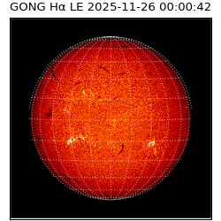 gong - 2025-11-26T00:00:42