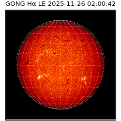 gong - 2025-11-26T02:00:42