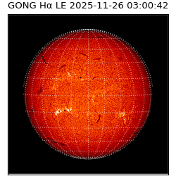 gong - 2025-11-26T03:00:42