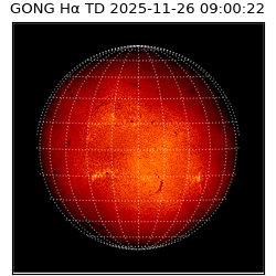 gong - 2025-11-26T09:00:22
