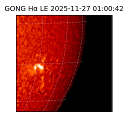 gong - 2025-11-27T01:00:42
