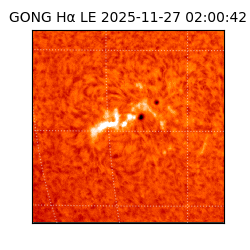 gong - 2025-11-27T02:00:42