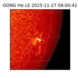 gong - 2025-11-27T08:00:42