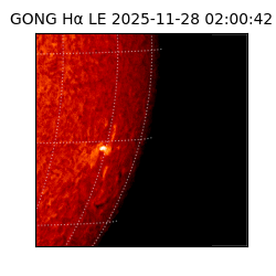 gong - 2025-11-28T02:00:42