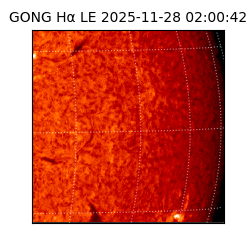 gong - 2025-11-28T02:00:42