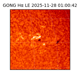 gong - 2025-11-28T01:00:42