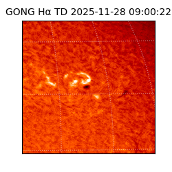 gong - 2025-11-28T09:00:22