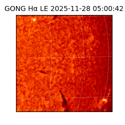 gong - 2025-11-28T05:00:42