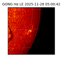 gong - 2025-11-28T05:00:42